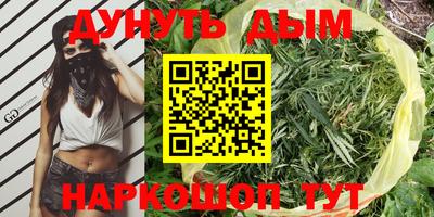 сатива Можга