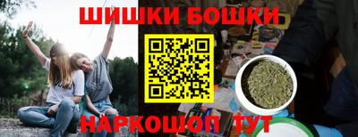 сатива Можга