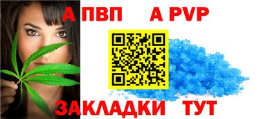сатива Можга