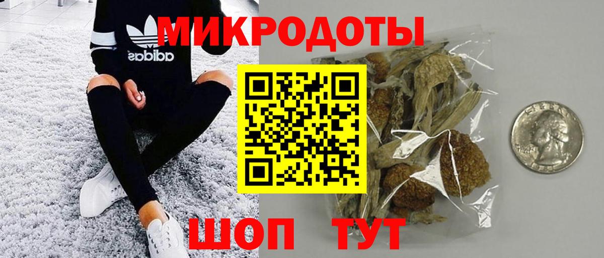 цены наркотик  Вход с VPN  Гурьевск  Псилоцибиновые грибы Cubensis 