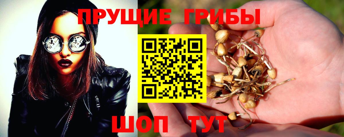 Галлюциногенные грибы GOLDEN TEACHER Гурьевск