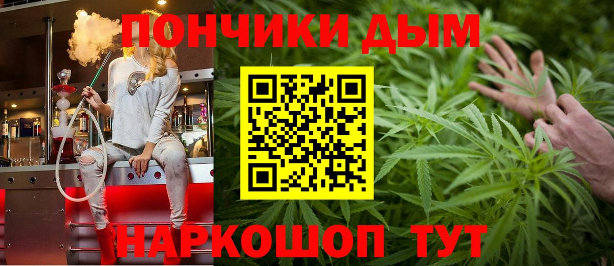 Конопля индика Гурьевск